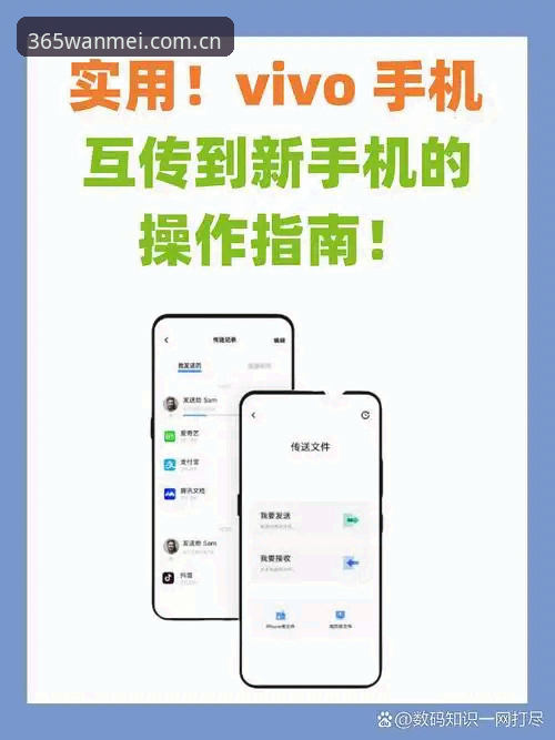 完美体育平台下载安装实用指南：从版本选择到性能对比全解析